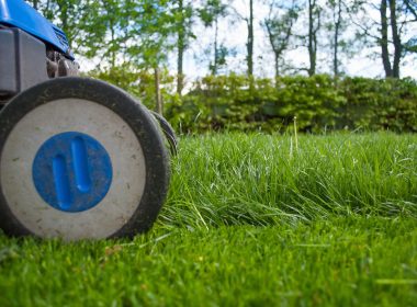 Gemulchte border in een verzorgde zomertuin met bloeiende planten